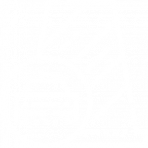 Защитные барьеры