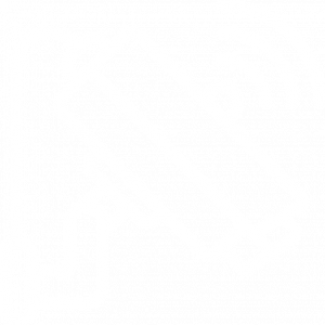 Видеонаблюдение и маршалы